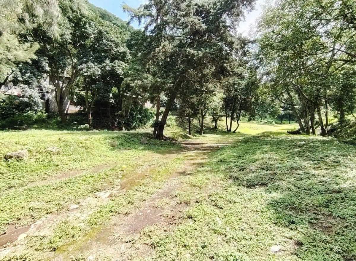 Santa Ana Antigua Guatemala, Finca en Venta — foto 5