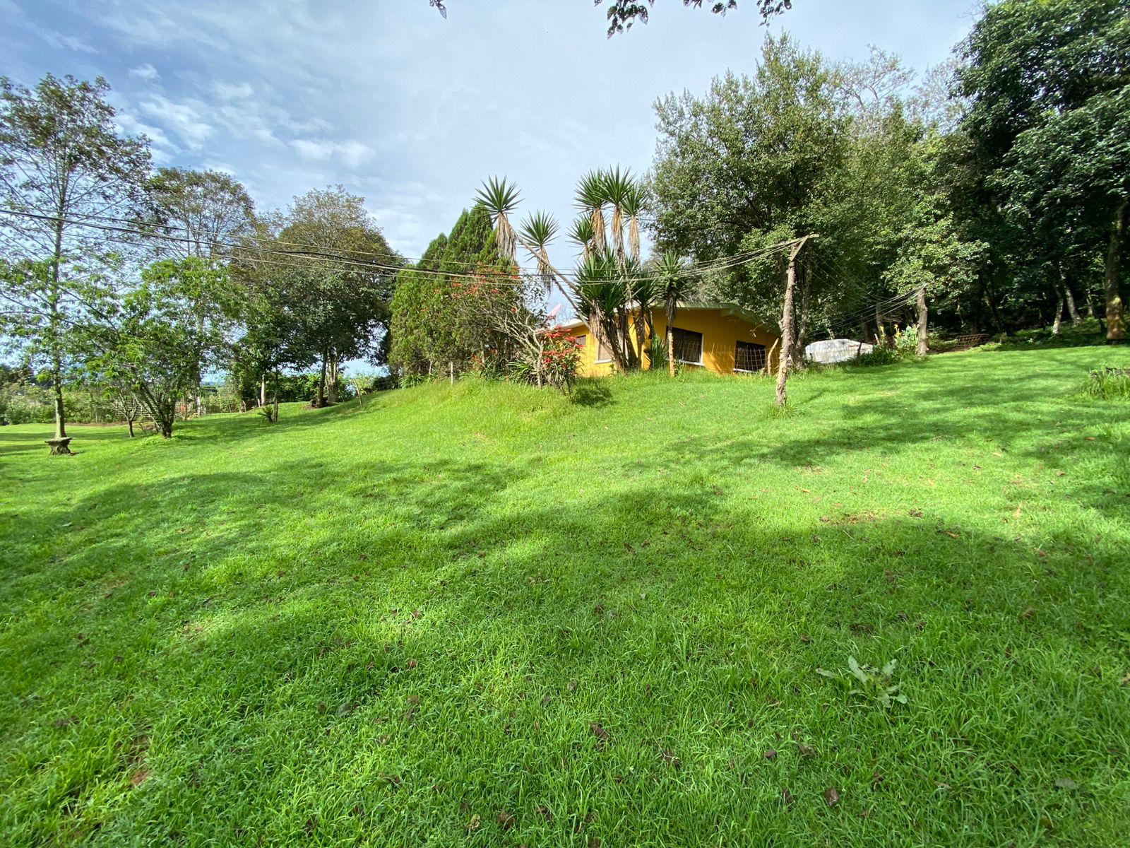 Granja de 3 manzanas en San Pedro Sacatepéquez — foto 4