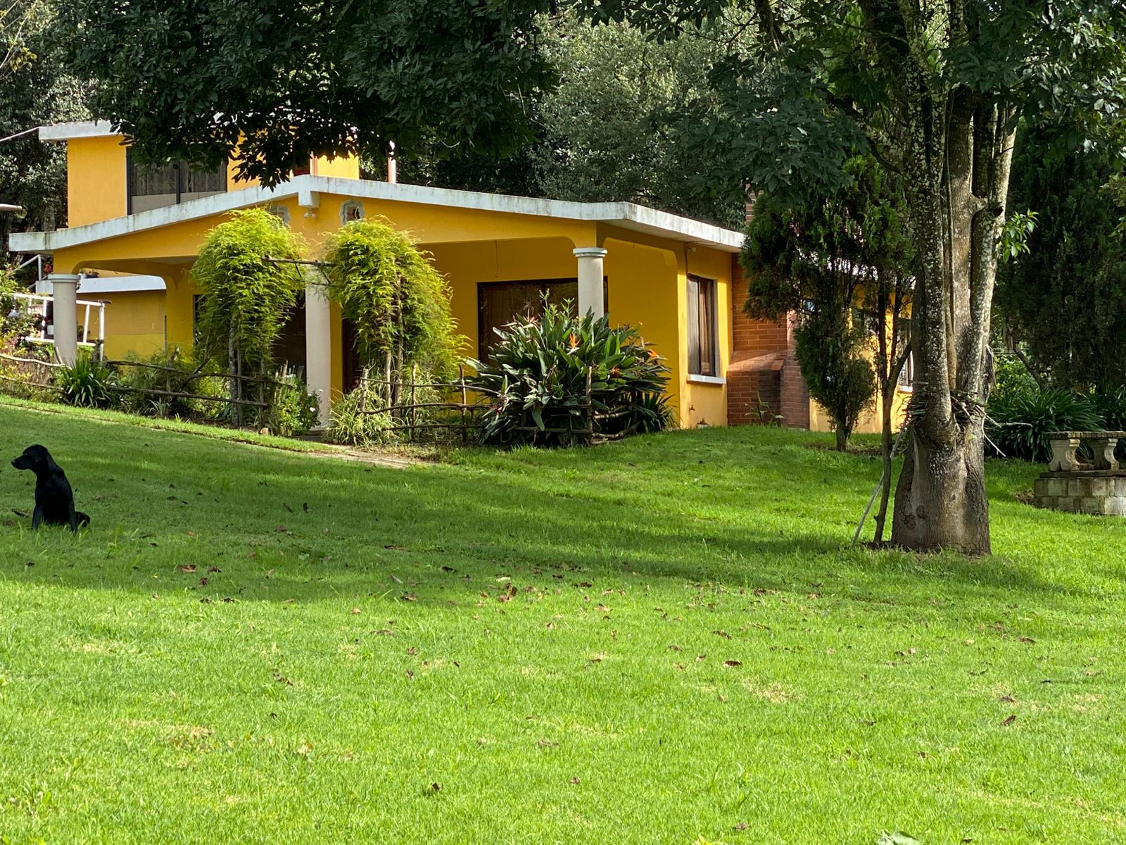 Granja de 3 manzanas en San Pedro Sacatepéquez — foto 6