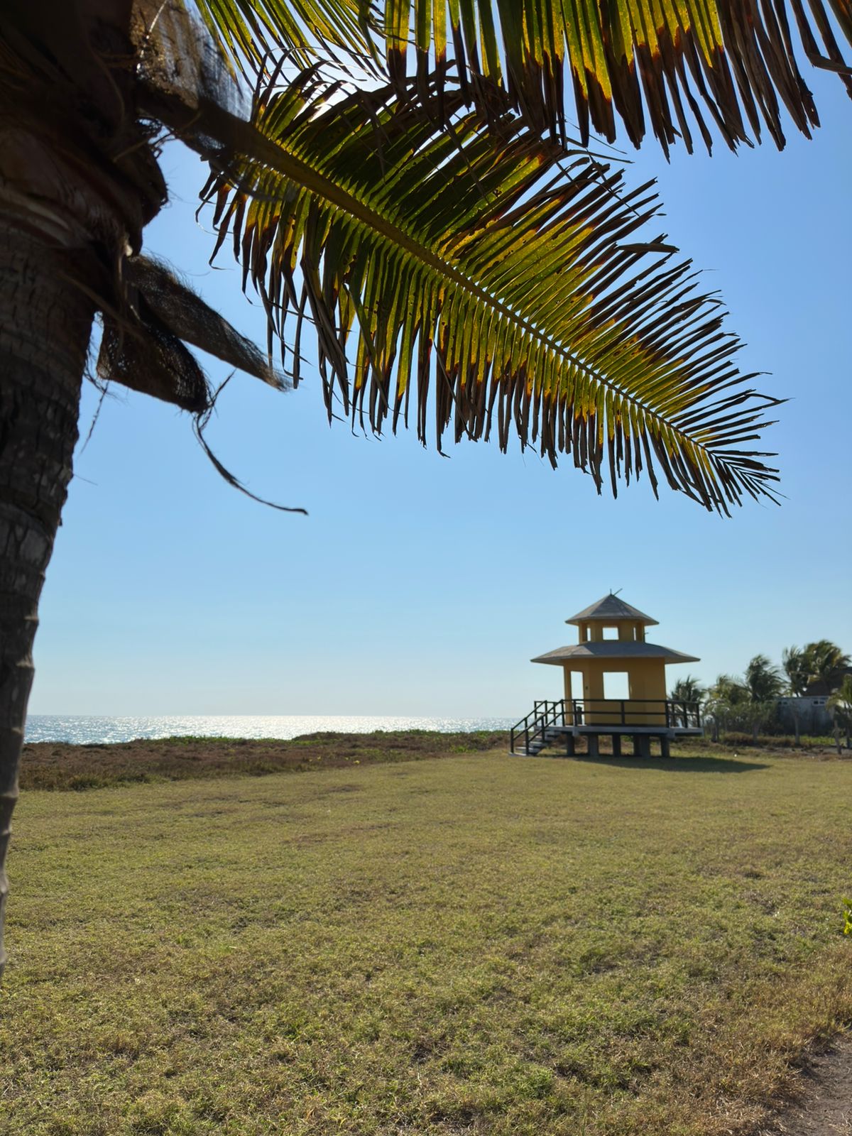 Monterrico