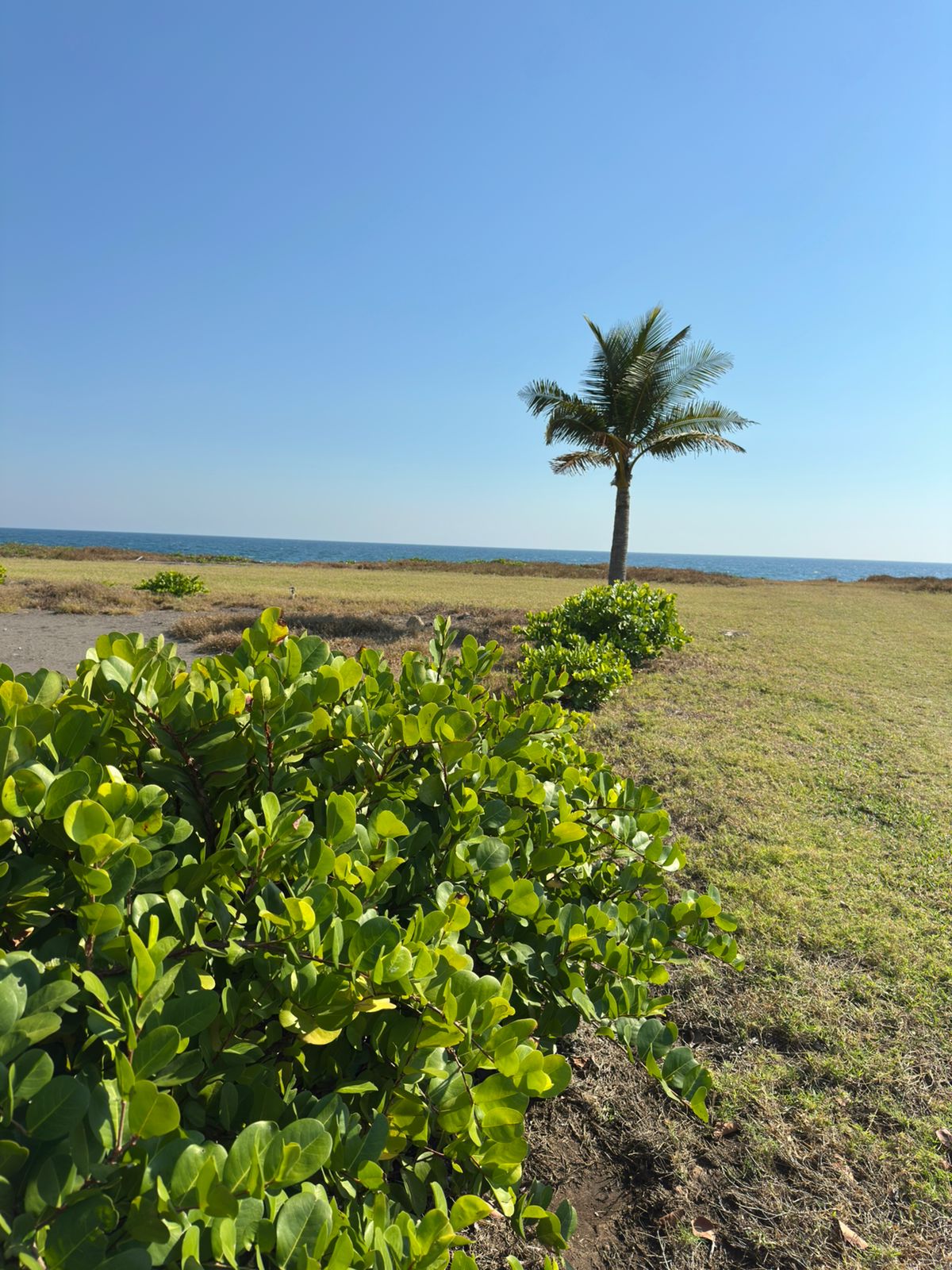 Monterrico — foto 2
