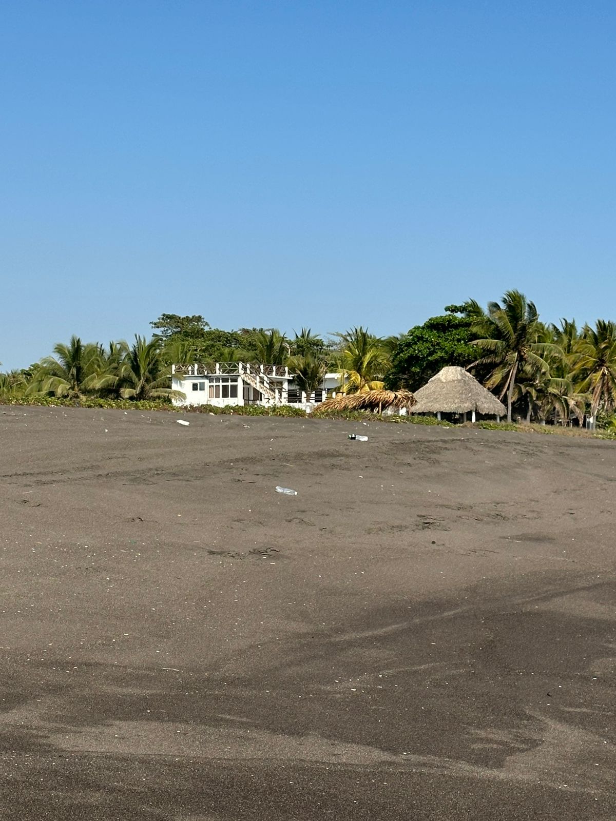 Monterrico — foto 10