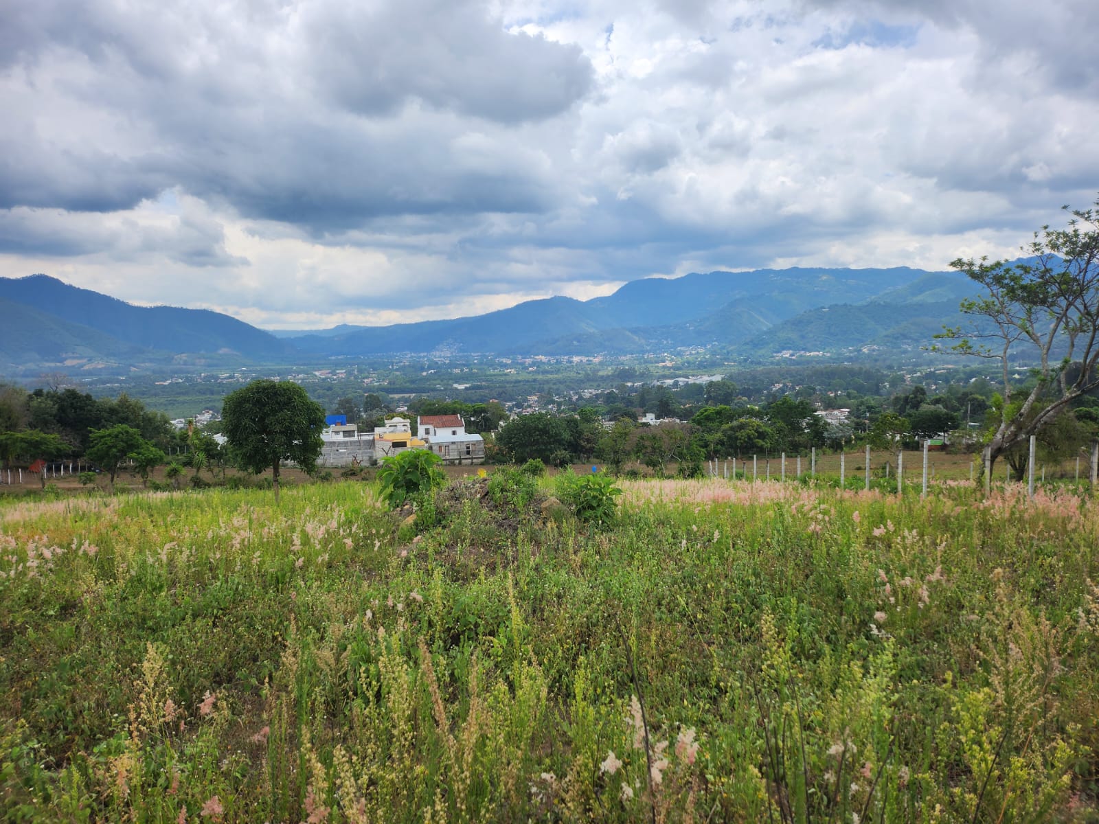 San Pedro las Huertas, terrenos en venta — foto 3