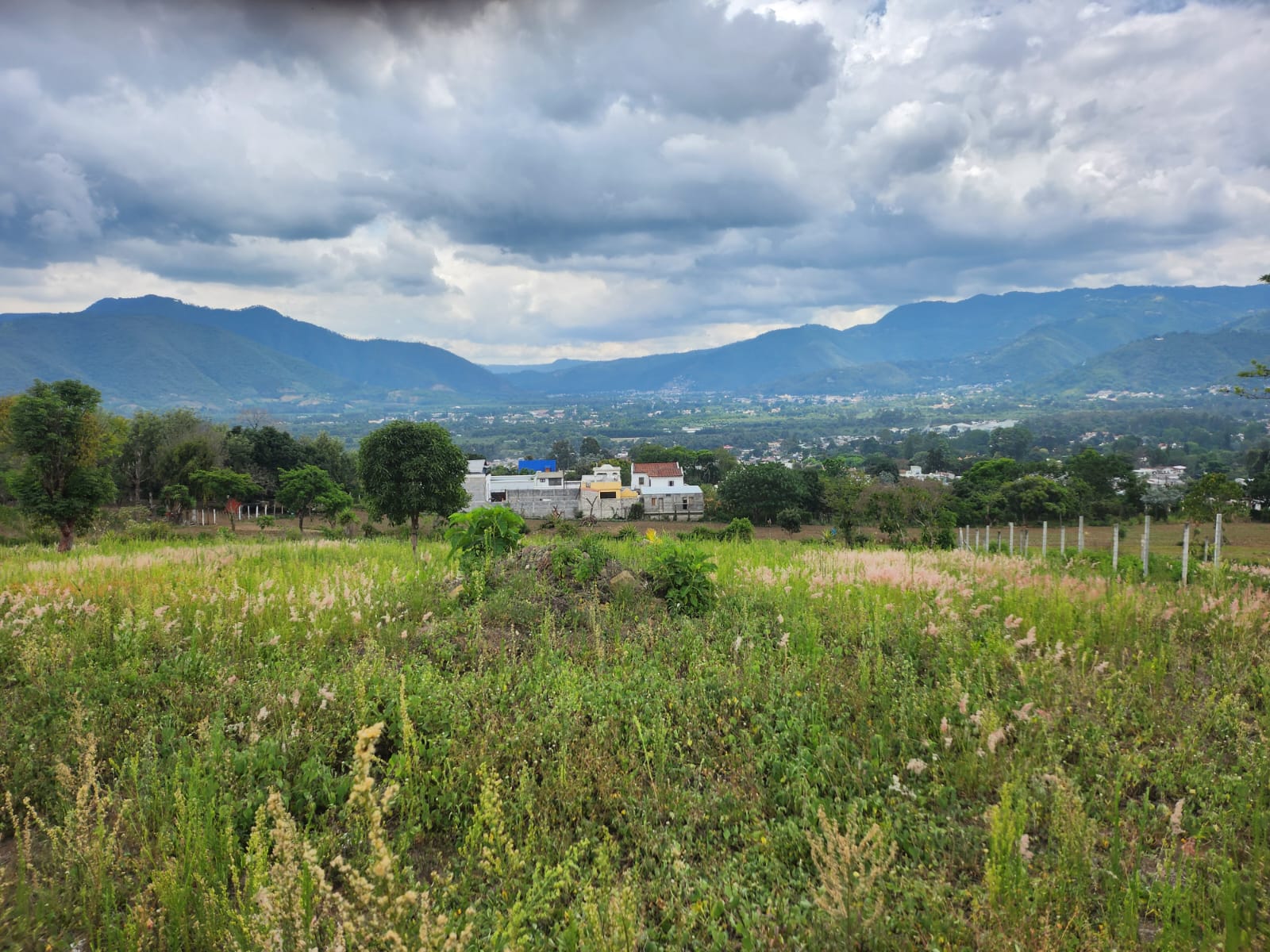 San Pedro las Huertas, terrenos en venta — foto 4
