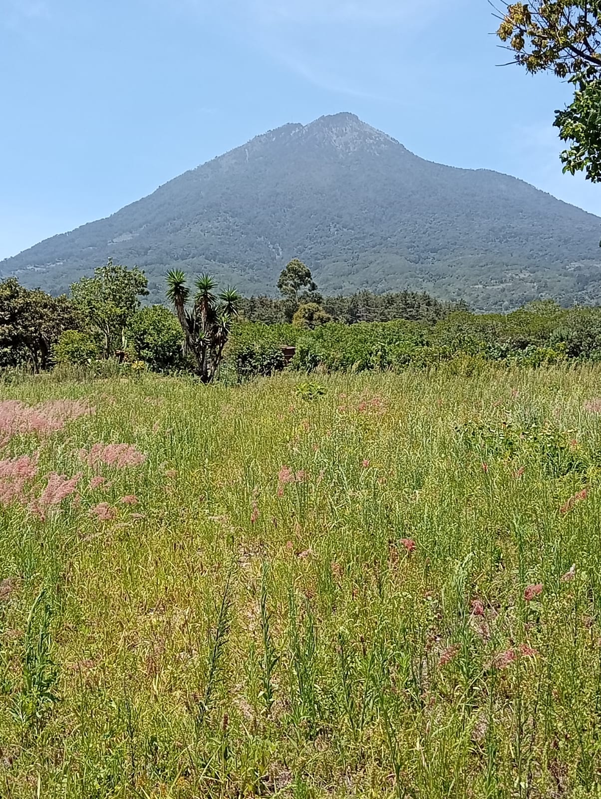 San Pedro las Huertas, terrenos en venta — foto 5