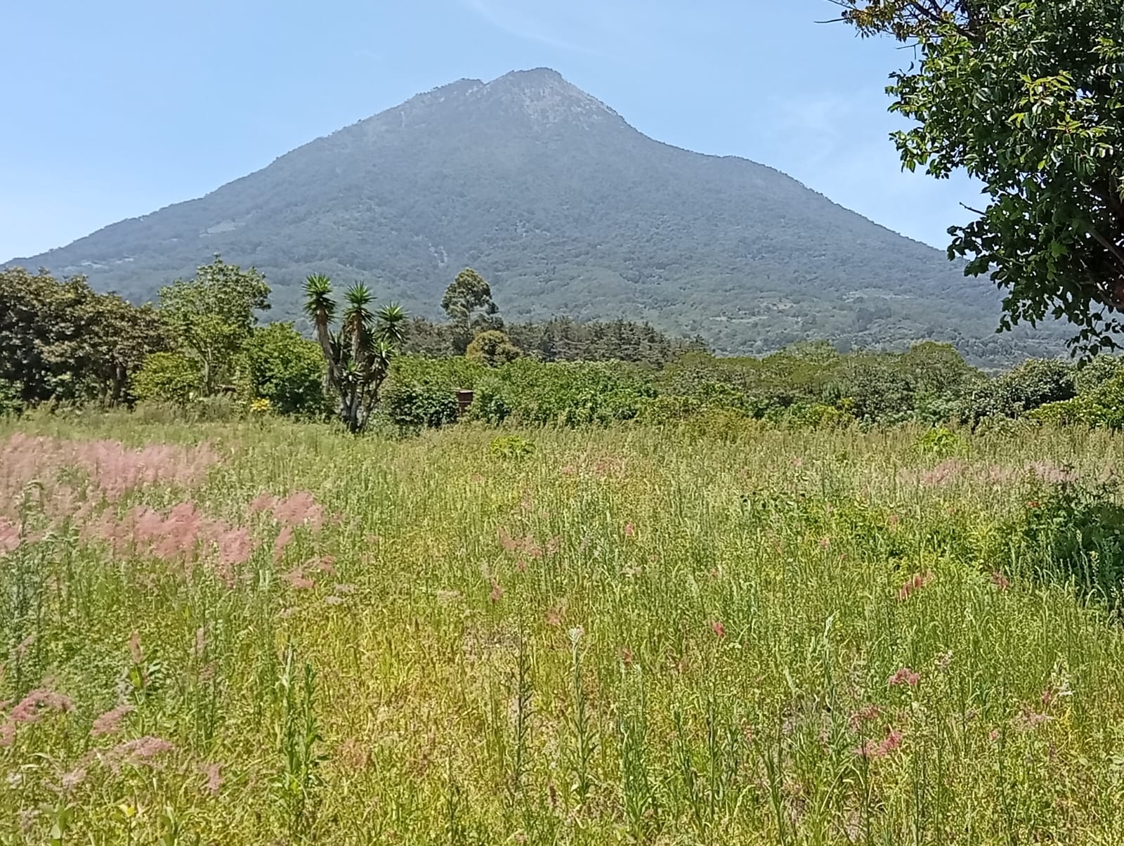 San Pedro las Huertas, terrenos en venta — foto 6