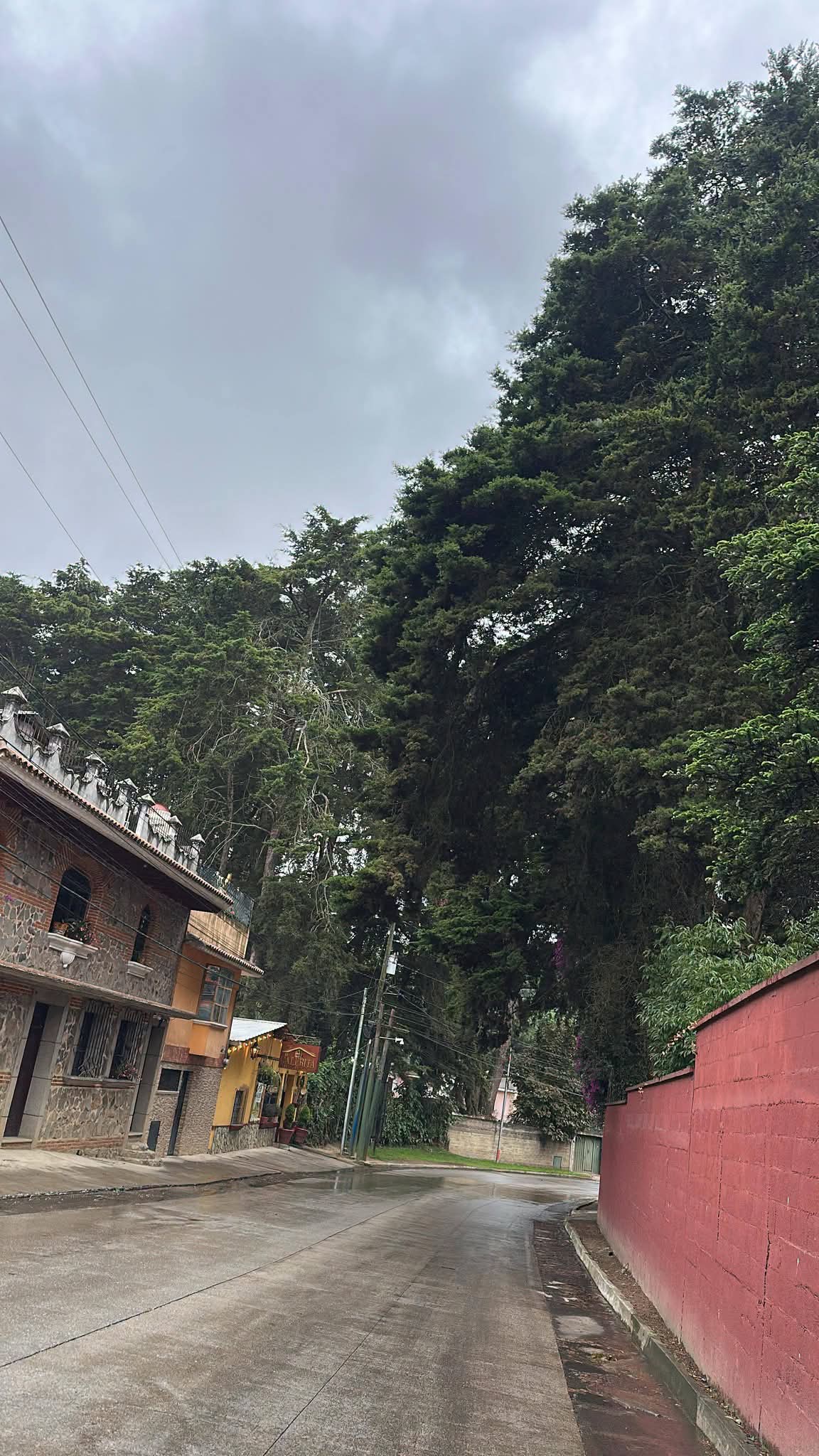 Pachaly, Terreno en Venta