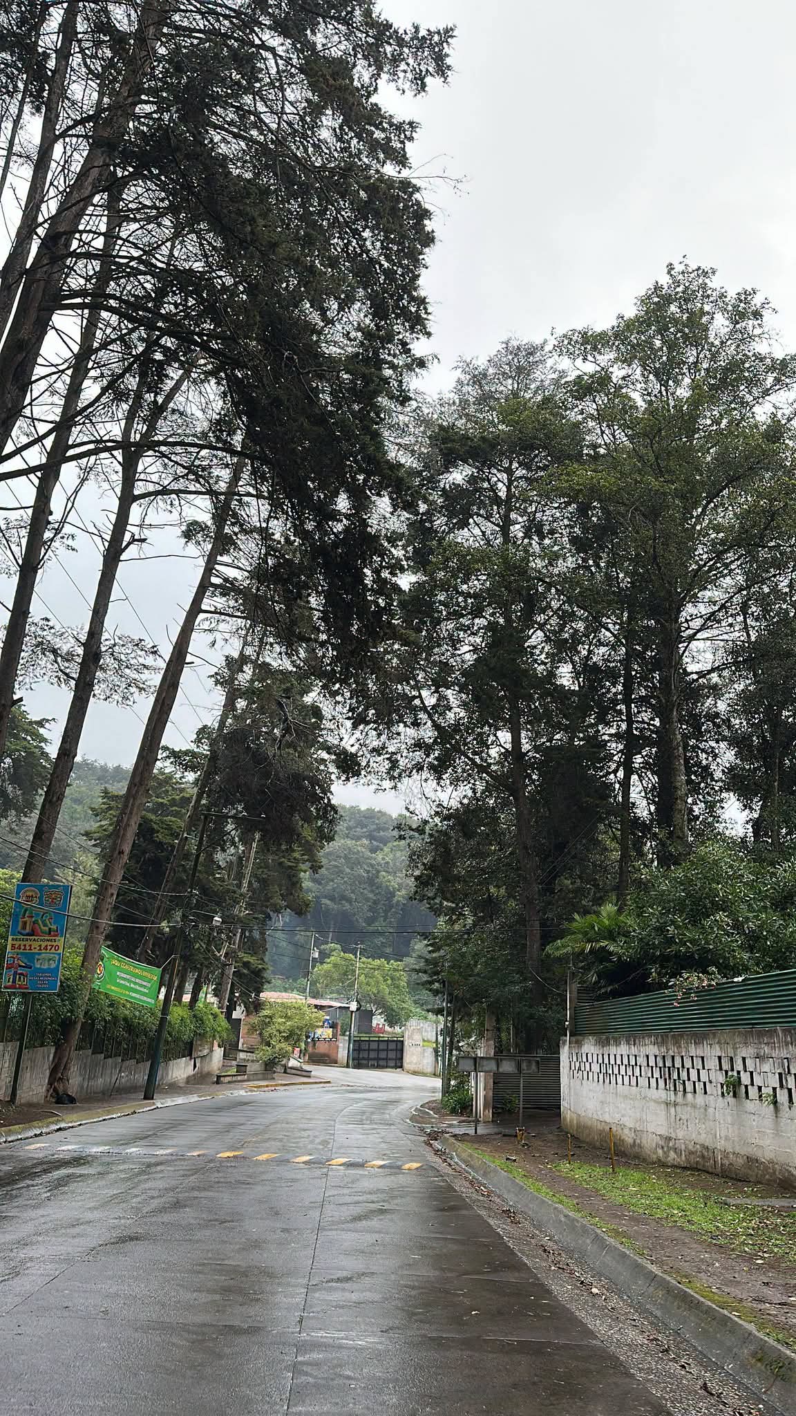 Pachaly, Terreno en Venta — foto 4