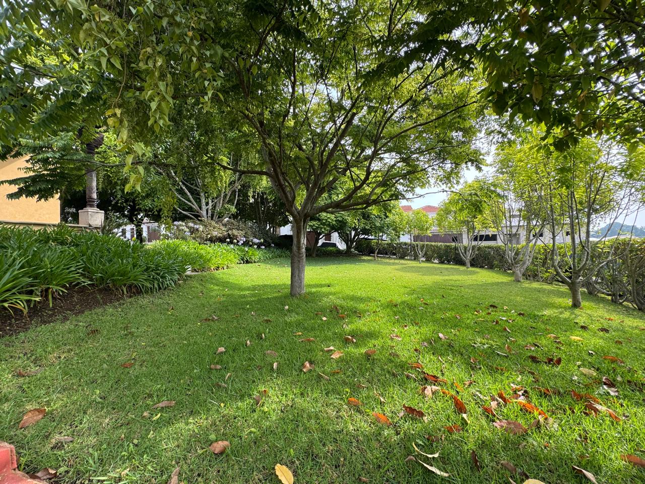 San Lucas Hacienda Las Marías Terreno en venta — foto 5