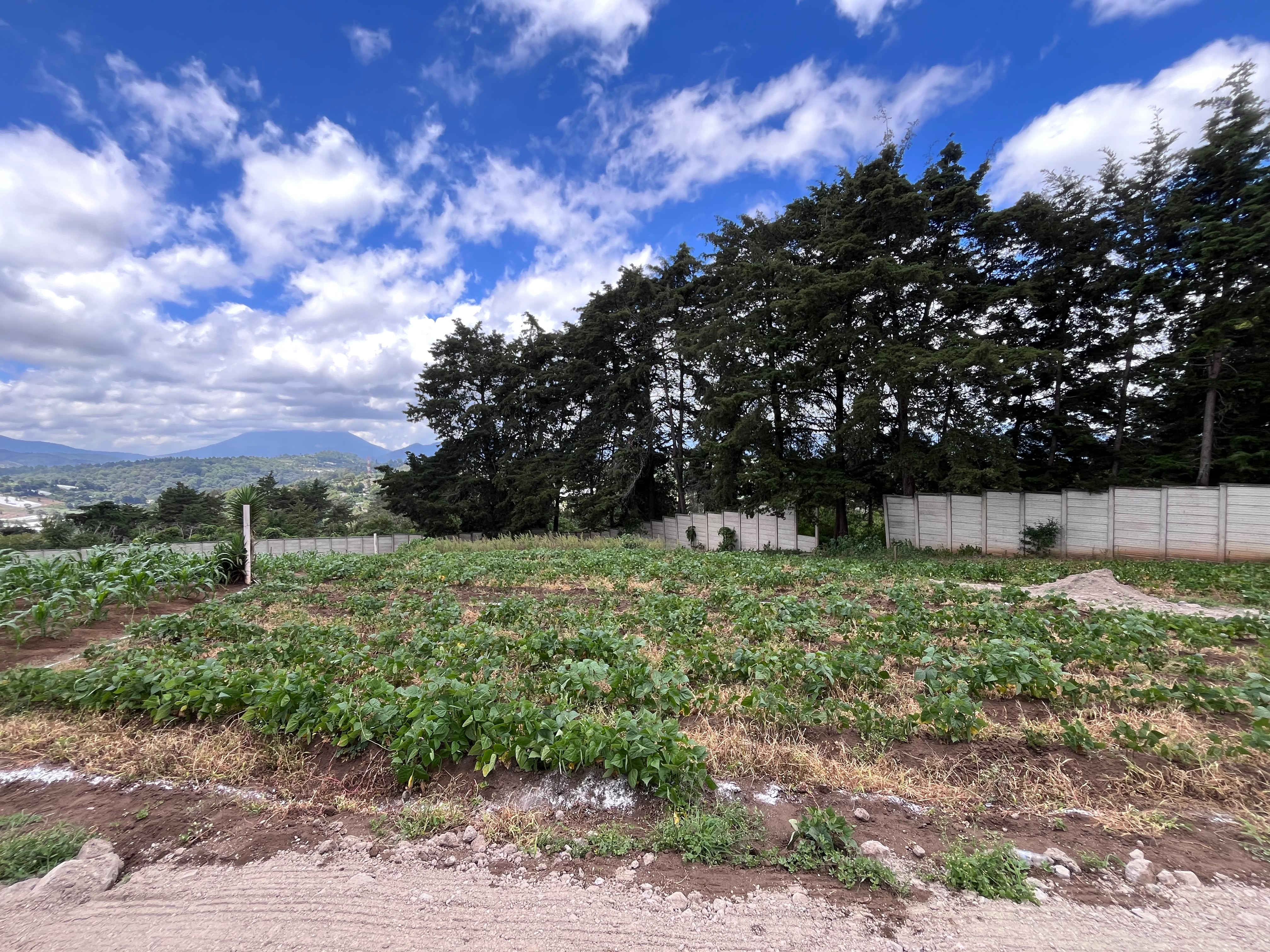 Sumpango, Aldea las Flores — foto 4